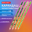 Карандаш чернографитный с принтом BRAUBERG "AVOCADO", 1 шт., HB, с ластиком, корпус ассорти, 182015