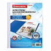 Папки-файлы перфорированные А4 BRAUBERG "EXTRA 600", КОМПЛЕКТ 100 шт., матовые, ПЛОТНЫЕ, 60 мкм, 229664
