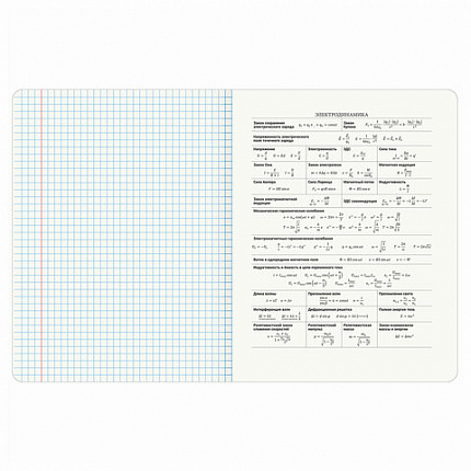 Тетрадь предметная "КОТ-ЭНТУЗИАСТ" 48 л., TWIN-лак, ФИЗИКА, клетка, подсказ, BRAUBERG, 404566