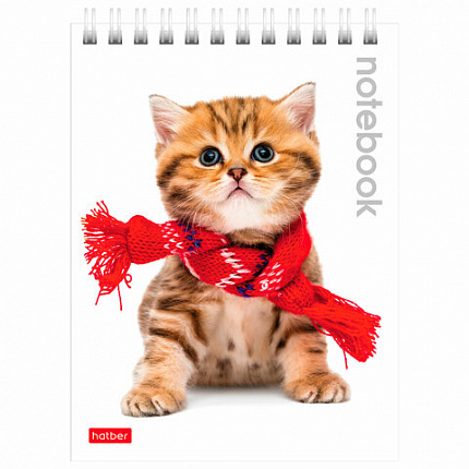 Блокнот МАЛЫЙ ФОРМАТ А6 110х145 мм, 40 л., гребень, лакированная обложка, клетка, HATBER, "Милые Котята", 004667, 40Б6B1гр