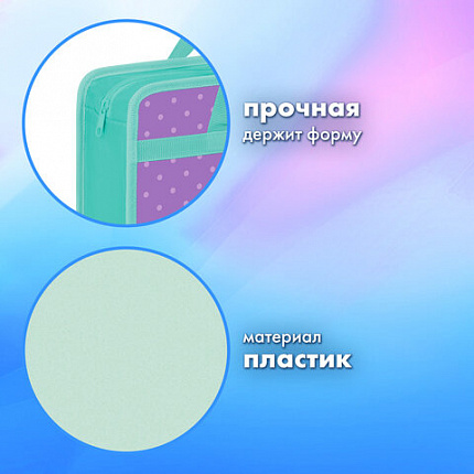 Папка на молнии с ручками BRAUBERG А4, 1 отделение, пластик, 80 мм, "Funny kittens", 273368