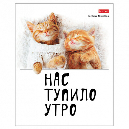 Тетрадь А5 48 л., HATBER скоба, клетка, обложка картон, "Котоюмор" (микс в спайке), 079790, 48Т5В1