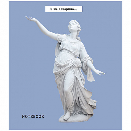 Тетрадь А5 48л. ПЗБМ скоба, клетка, Soft Touch, матовая ламинация, Ой, девочки (5 вид, 24147