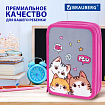 Пенал BRAUBERG, 2 отделения, полиэстер, 21х14 см, "Дружба котиков", 273536