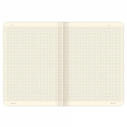 Тетради 60 л. в клетку обложка SoftTouch, НАБОР 2 шт., бежевая бумага 70 г/м2, сшивка, B5 (179х250 мм), FANTASY, BRAUBERG, 403820