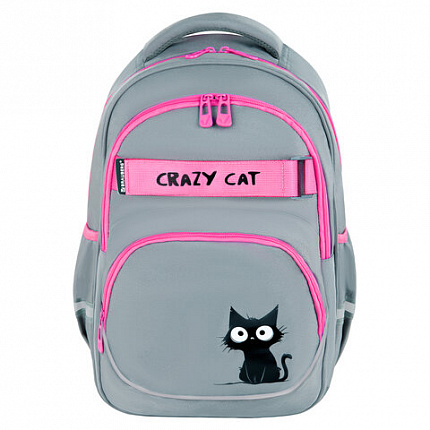 Рюкзак BRAUBERG MOTION, 2 отделения, 3 кармана, "Crazy cat", 41х28х17 см, 273115