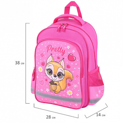 Рюкзак ПИФАГОР SCHOOL, 1 отделение, 3 кармана, "Squirrel", 38x28х14 см, 271404