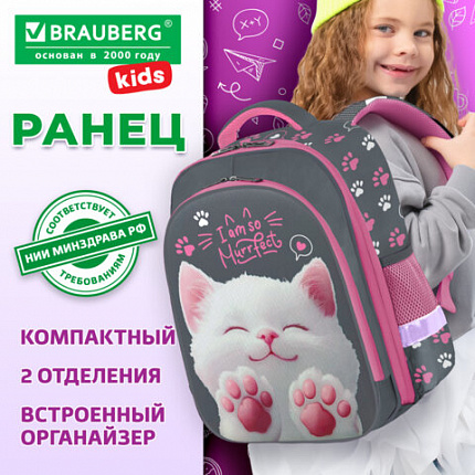 Ранец BRAUBERG KIDS STANDARD, 2 отделения, "Кот-мурлыка", 36х28х14 см, 274427
