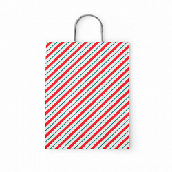 Крафт-пакет бумажный "Узкая полоса" 26х15х35 см, с кручеными ручками, плотность 100 г/м2, белый, 113228