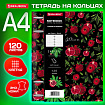 Тетрадь на кольцах БОЛЬШАЯ А4 (240х310 мм), 120 л., под кожу, BRAUBERG VISTA, "Гранаты", 404513