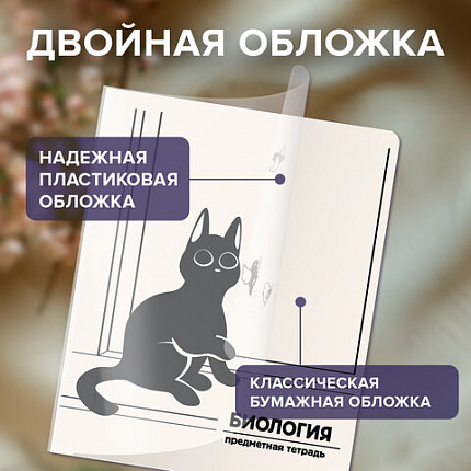 Тетради предметные, КОМПЛЕКТ 12 ПРЕДМЕТОВ 48 л., пластиковая обложка, BRAUBERG "КОТ-НЕПОСЕДА", 405542