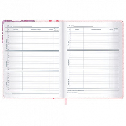 Дневник 1-11 класс 48 л., кожзам (твердая), застежка, BRAUBERG, "Аниме девочка", 107228