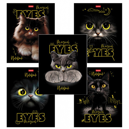 Тетрадь А5 48 л., HATBER скоба, клетка, матовая ламинация, 3D-лак, "Волшебные глаза" (микс), 088313, 48Т5лолВ1