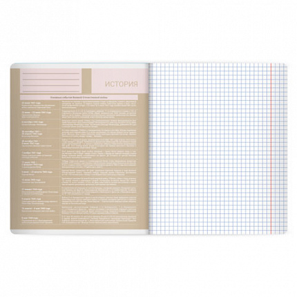 Тетрадь предметная MonoPastel 48л, пластиковая обложка, ИСТОРИЯ, клетка, подсказ, BRAUBERG, 405508