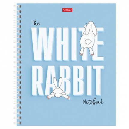 Тетрадь А5, 48 л., HATBER гребень, клетка, обложка картон, "Следуй за белым кроликом" (микс), 087016, 48Т5В1гр