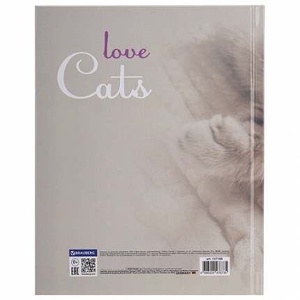 Дневник 5-11 класс 48 л., твердый, BRAUBERG, глянцевая ламинация, с подсказом, "Котик", 107188