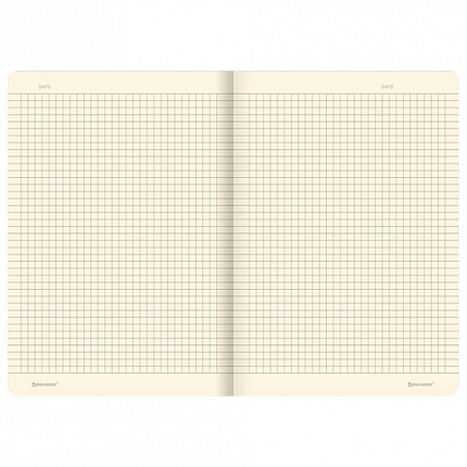 Тетрадь 40 л. в клетку обложка SoftTouch, бежевая бумага 70 г/м2, сшивка, А5 (147х210 мм), BEAUTIFUL DAY, BRAUBERG, 403772