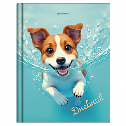 Дневник 1-4 класс 48 л., твердый, BRAUBERG, глянцевая ламинация, с подсказом, "МИКС", 107587