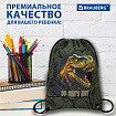 Мешок для обуви BRAUBERG PREMIUM, карман, подкладка, светоотражайка, 43х33 см, Dino attack, 272424