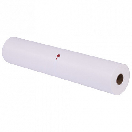Бумага для выпечки силиконизированная, пергамент 38 см х 100 м, цвет белый, LAIMA, CH, 609588