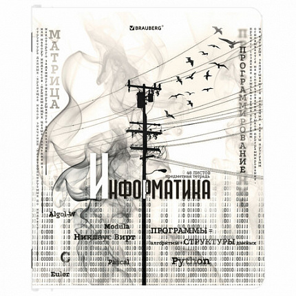 Тетради предметные, КОМПЛЕКТ 12 ПРЕДМЕТОВ, 48 л., матовая ламинация, BRAUBERG, "BLACK&WHITE", 404835
