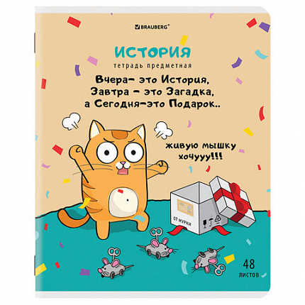 Тетради предметные, КОМПЛЕКТ 12 ПРЕДМЕТОВ, 48 л., TWIN-лак, BRAUBERG, "КОТ-ЭНТУЗИАСТ", 404609