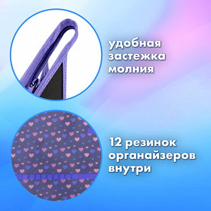 Папка для труда на молнии BRAUBERG А4, 2 отделения, органайзер, "Спящий котенок", 273401
