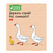 Тетрадь А5 48 л., HATBER скоба, клетка, обложка картон, "Гусь - веселюсь_Выпуск №2" (микс), 078789, 48Т5В1