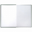 Книга учета 96 л., клетка, твердая, бумвинил, блок офсет, А4 200х290 мм, BRAUBERG, зеленая, 130222