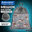 Мешок для обуви BRAUBERG БОЛЬШОЙ, с ручкой, карман на молнии, сетка, 49х41 см, "Милые коты", 274637