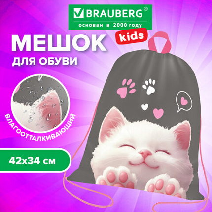 Мешок для обуви BRAUBERG KIDS, с петлей, 42х34 см, "Кот-мурлыка", 274640