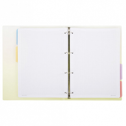 Тетрадь на кольцах БОЛЬШАЯ 305х230мм А4, 120л, пластик, с разделителями, BRAUBERG, Желтый, 404624