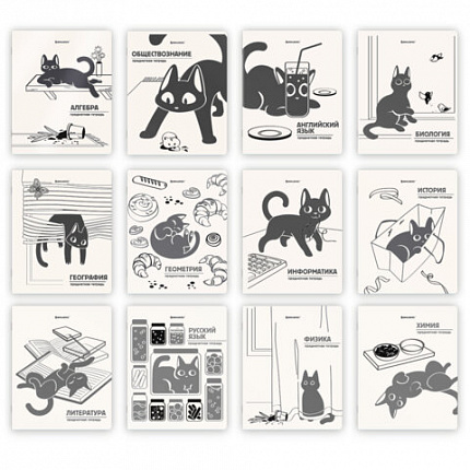 Тетради предметные, КОМПЛЕКТ 12 ПРЕДМЕТОВ 48л, пластиковая обложка, BRAUBERG "КОТ-НЕПОСЕДА", 405542