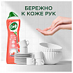 Средство для мытья посуды 500 мл СИФ "Красный апельсин и эвкалипт", гель