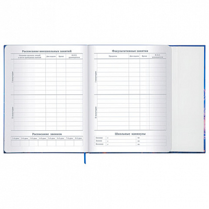 Дневник 1-11 класс 48 л., твердый, BRAUBERG, матовая ламинация, магнитный клапан, закладка-ляссе, с подсказом, "Magic", 107243