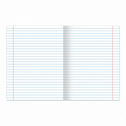 Тетрадь BRAUBERG "EXTRA" 24 л., линия, плотная бумага 80 г/м2, обложка картон, 105711