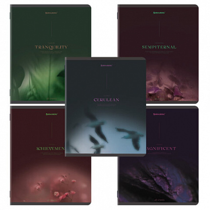 Тетрадь А5, 48 л., BRAUBERG, скоба, клетка, SoftTouch, "Peaceful", (микс в спайке), 405327