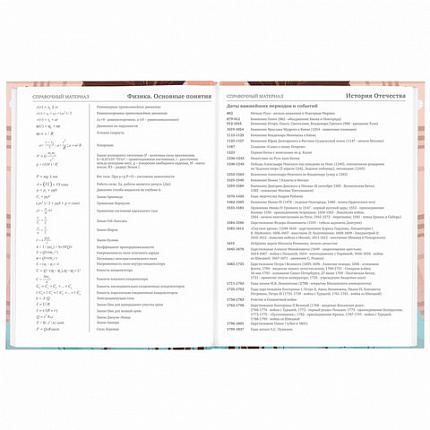 Дневник 5-11 класс 48 л., твердый, BRAUBERG, глянцевая ламинация, с подсказом, "Summer girl", 106882