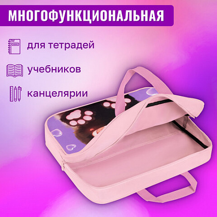 Папка на молнии с ручками BRAUBERG А4, 1 отделение, полиэстер, 80 мм, "Кошачьи лапки", 273300