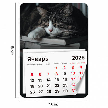 Календарь отрывной на магните на 2026 г., BRAUBERG, 130x180 мм, склейка, "Спящий кот", 117292