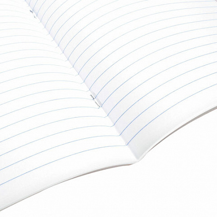 Тетрадь предметная SPORT CLUB 48л, обложка картон, РУССКИЙ ЯЗЫК, линия, подсказ, BRAUBERG, 404803