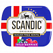 Драже освежающие SCANDIC без сахара со вкусом "Лесные ягоды", 14 г, 4603738769230