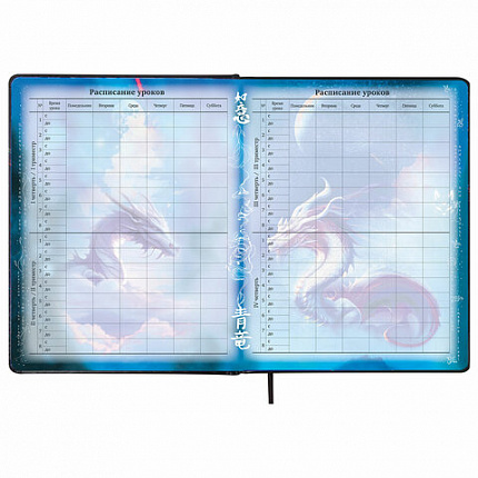 Дневник 1-11 класс 48 л., кожзам (твердая с поролоном), печать, цветной блок, BRAUBERG, "Ниндзя", 106950