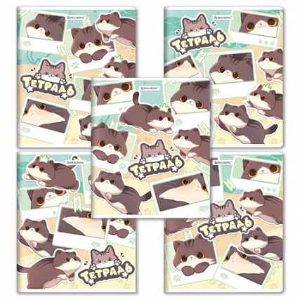 РЕЗЕРВ Тетрадь А5 48л. BRAUBERG МИЛЫЕ КОТЫ скоба, клетка, выборочный лак, 405193