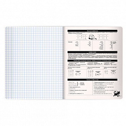 Тетрадь предметная КОТ-НЕПОСЕДА 48 л., пластиковая обложка, ИНФОРМАТИКА, клетка, подсказ, BRAUBERG, 405533