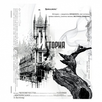 Тетради предметные, КОМПЛЕКТ 12 ПРЕДМЕТОВ, BLACK&WHITE, 48л, матовая ламинация, BRAUBERG, 404835