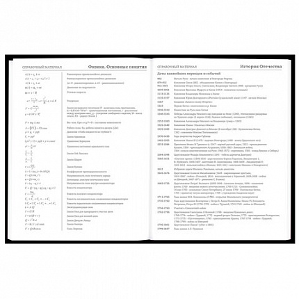 Дневник 5-11 класс 48 л., твердый, BRAUBERG, матовая ламинация, с подсказом, "Штош", 107190