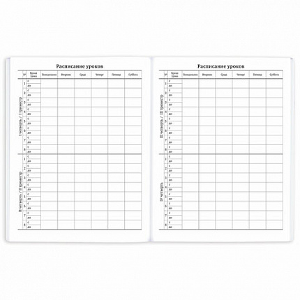 Дневник 1-11 класс 40 л., на скобе, ПИФАГОР, обложка картон, "Футбол", 107136