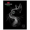 Тетрадь А5, 48 л., HATBER, скоба, клетка, матовая ламинация, 3D-лак, "Black Cat" (микс в спайке), 093159, 48Т5лолВ1