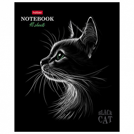 Тетрадь А5, 48 л., HATBER, скоба, клетка, матовая ламинация, 3D-лак, "Black Cat" (микс в спайке), 093159, 48Т5лолВ1